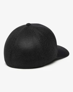 Bear 2.0 Fitted Hat