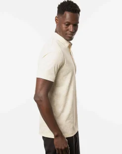 On Porpoise Polo