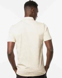 On Porpoise Polo