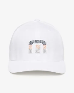 Swim With Dolphins Youth Hat